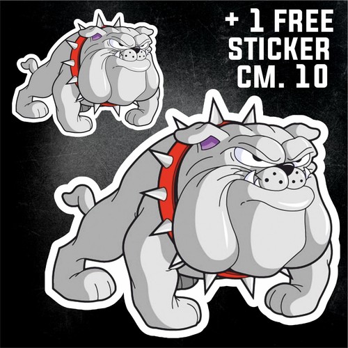Bulldog englische bulldogge - englische,